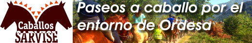 Paseos a caballo Paseos a caballo