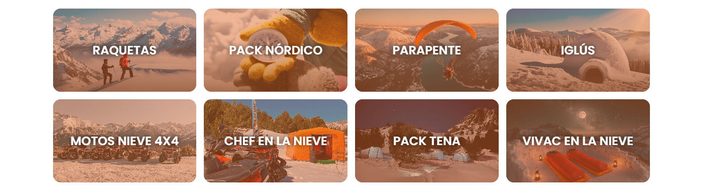 Ver todas las actividades