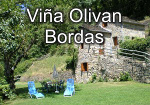 Viña Oliván