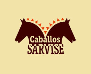 Mas info de Caballos Sarvise